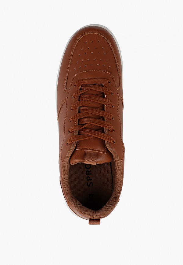 фото Кеды sprox