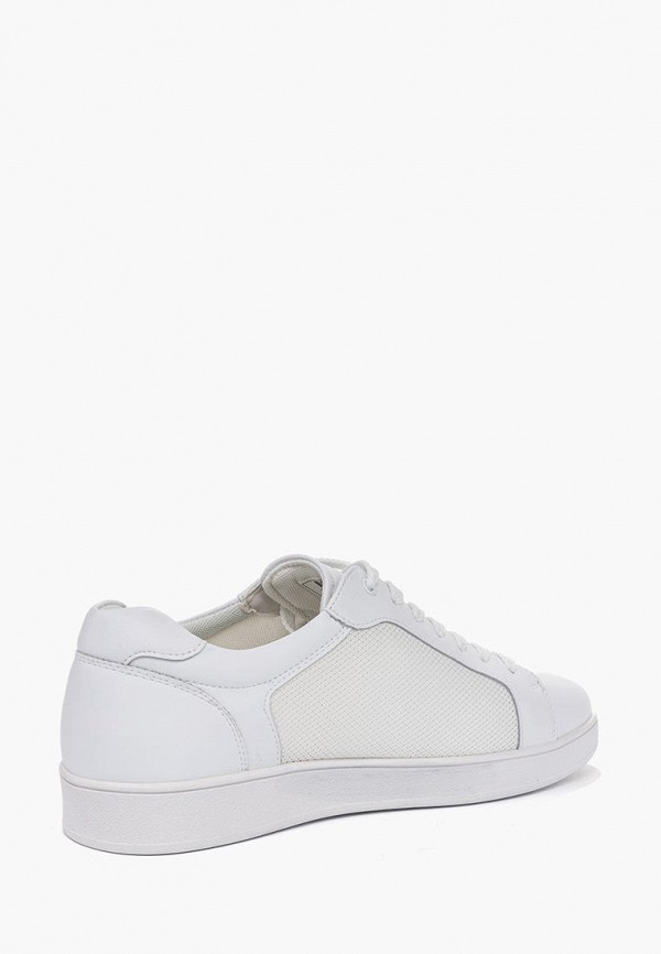 фото Кеды zenden