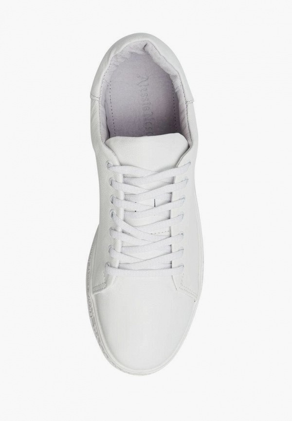 фото Кеды alessio nesca