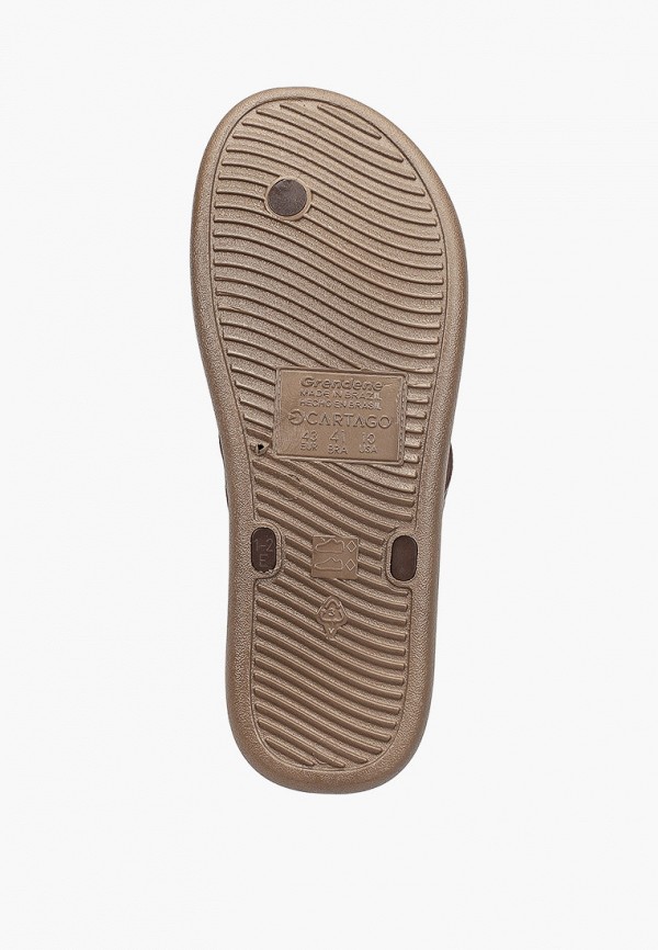 фото Сланцы cartago