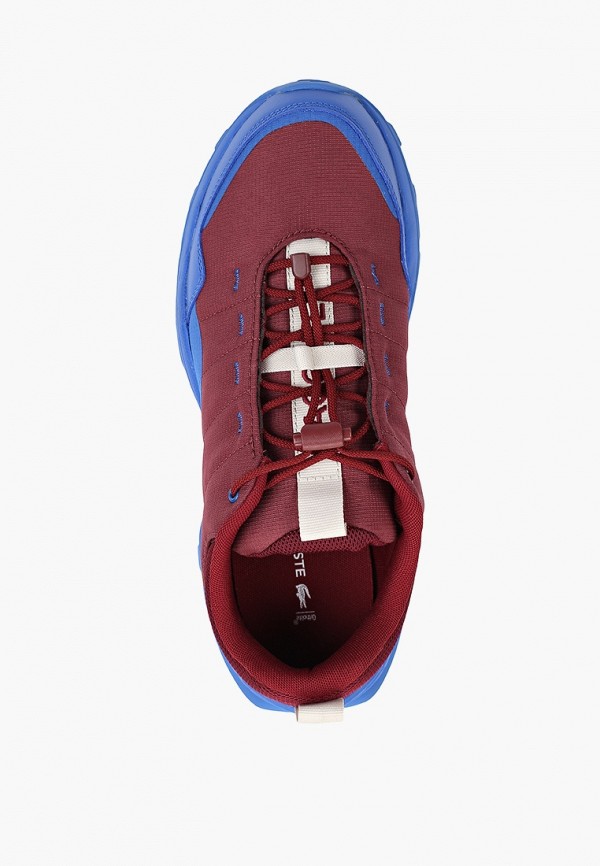 фото Кроссовки lacoste