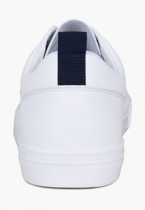 фото Кеды t.taccardi