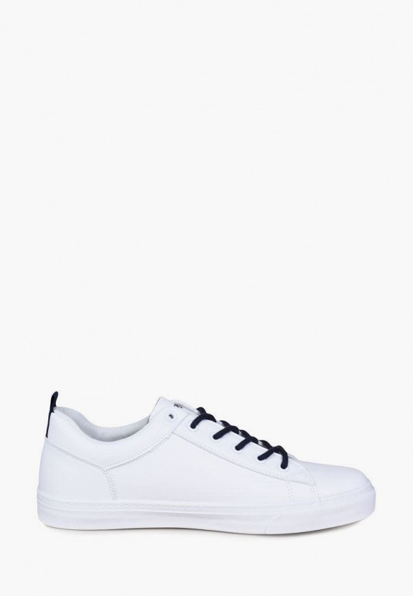 фото Кеды t.taccardi