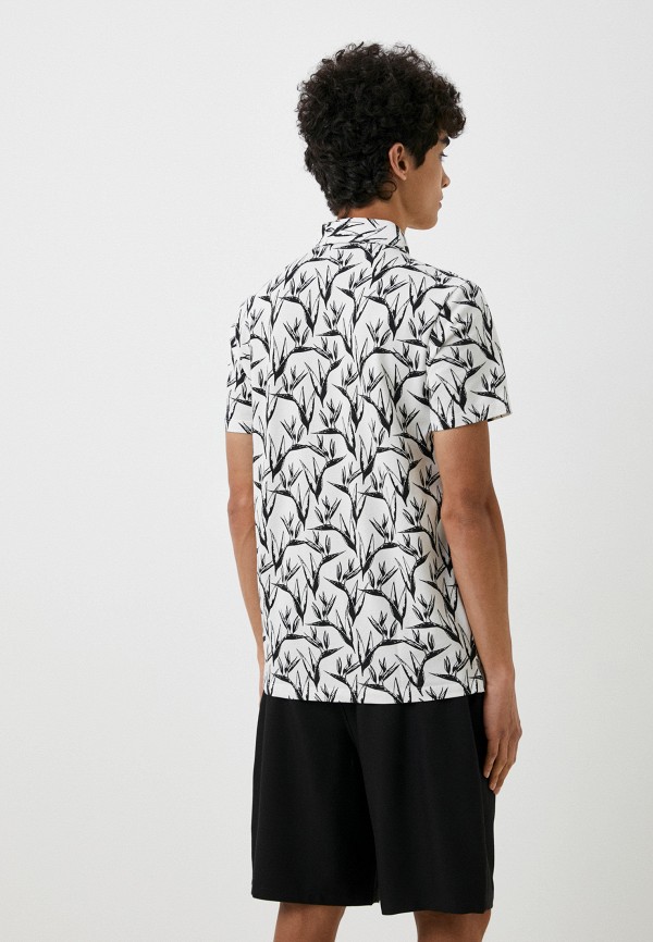 фото Поло colin's