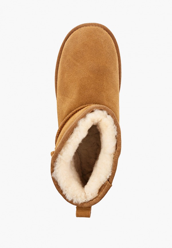 фото Полусапоги qnzy