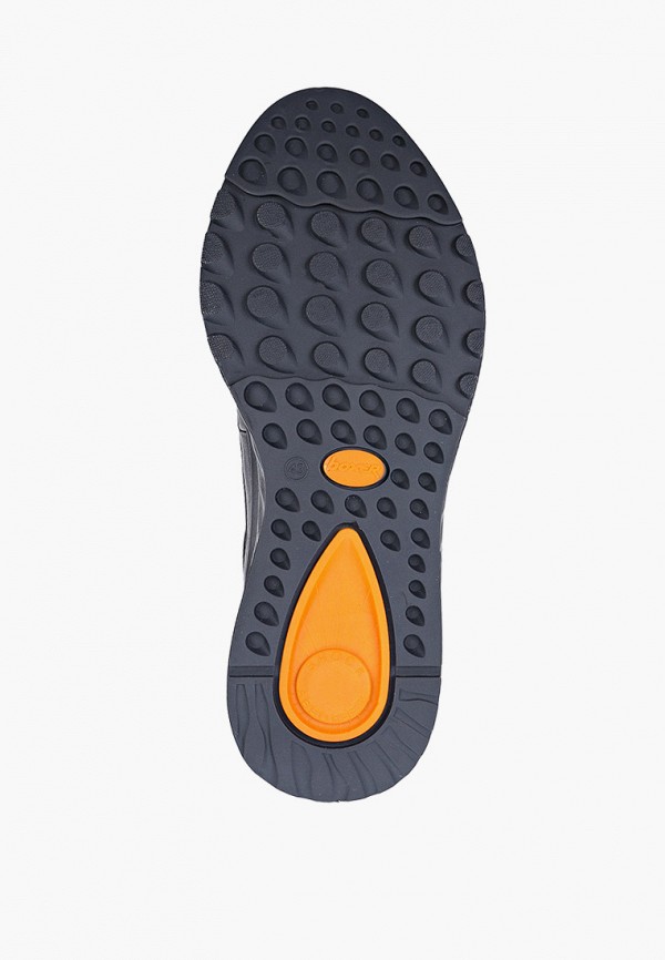 фото Кроссовки boxer