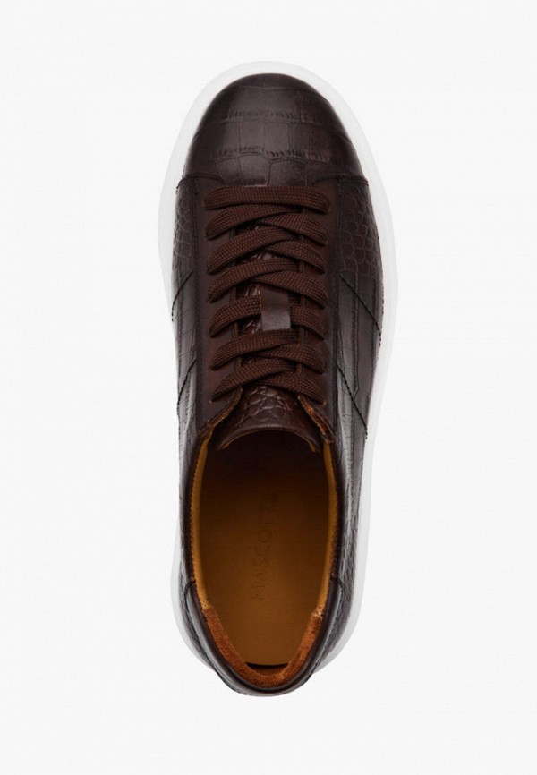 фото Кеды mascotte