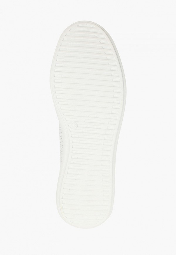 фото Кеды alessio nesca