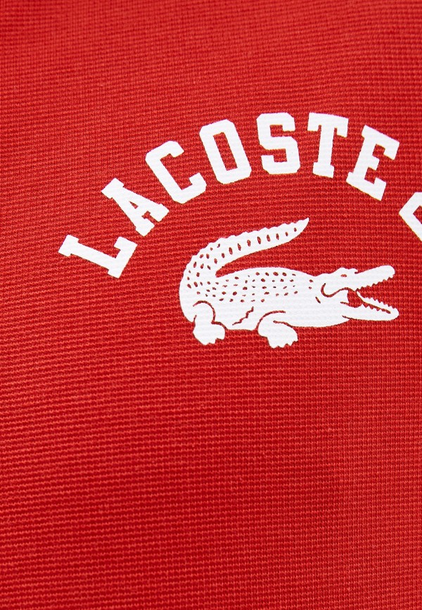 фото Поло lacoste