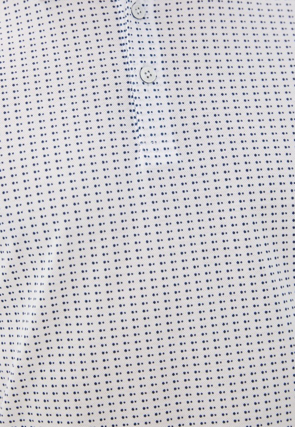 фото Поло henderson