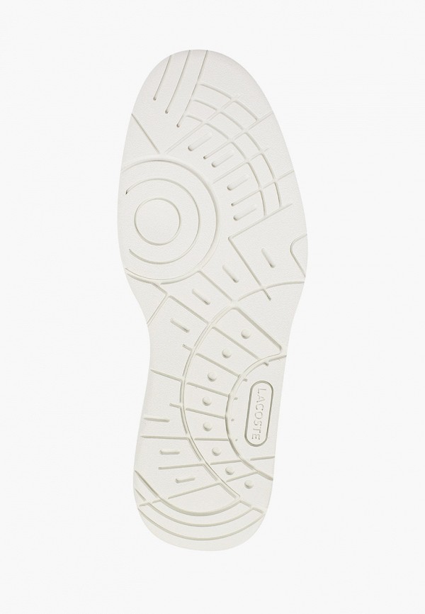 фото Кеды lacoste