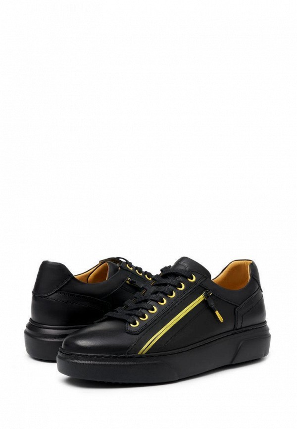 фото Кеды pierre cardin