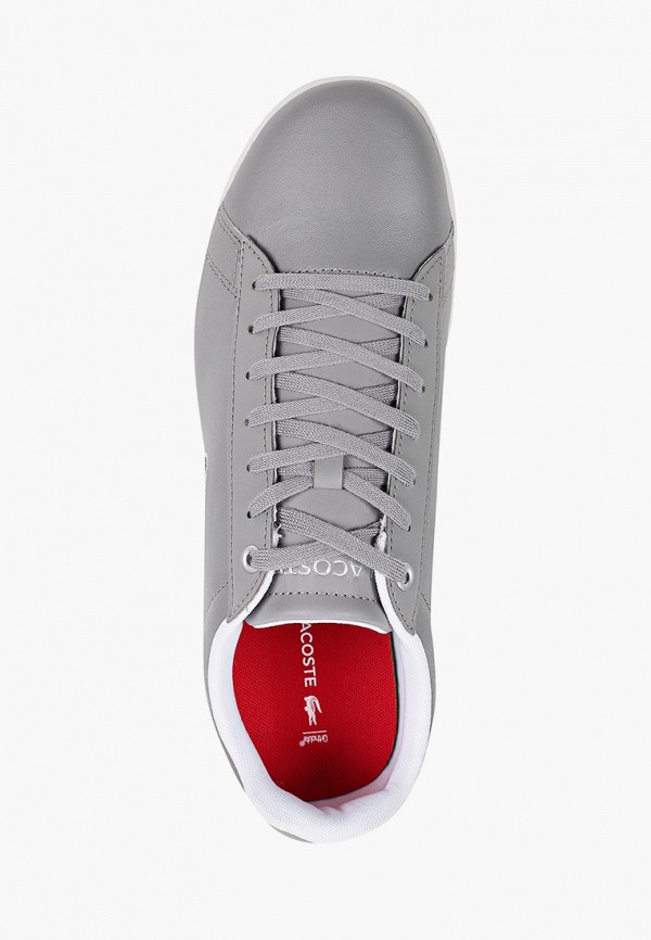 фото Кеды lacoste