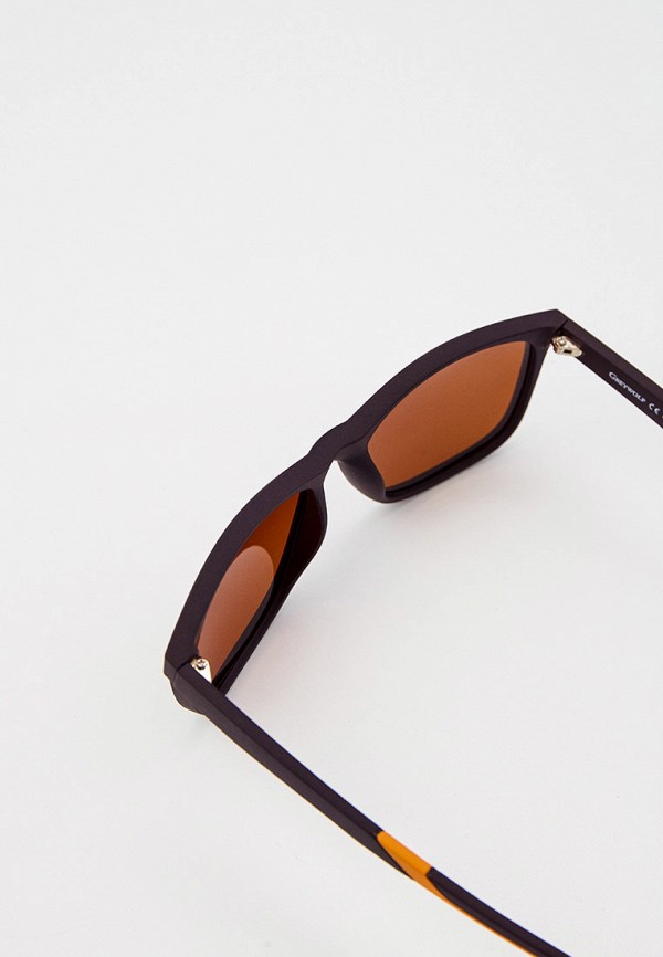 фото Очки солнцезащитные greywolf