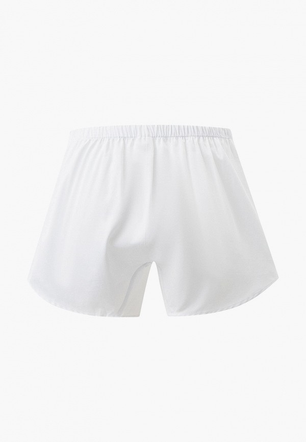 фото Трусы trusselya