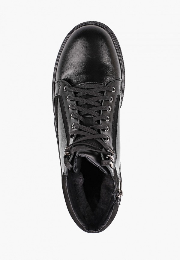 фото Кеды alessio nesca