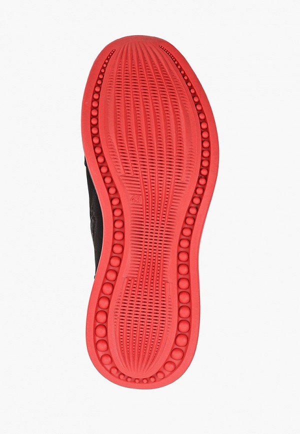 фото Кроссовки t.taccardi