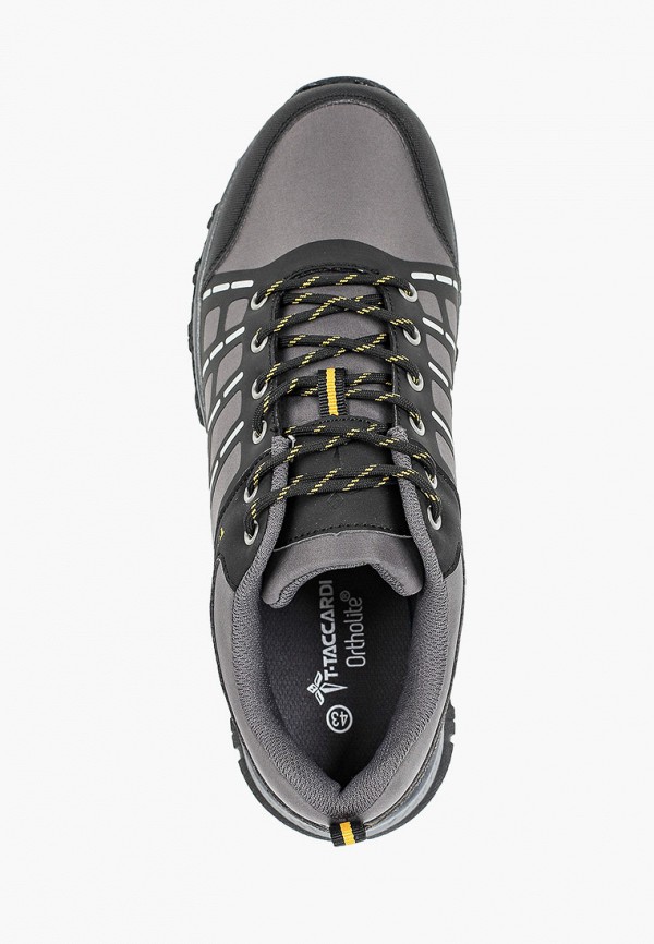 фото Кроссовки t.taccardi