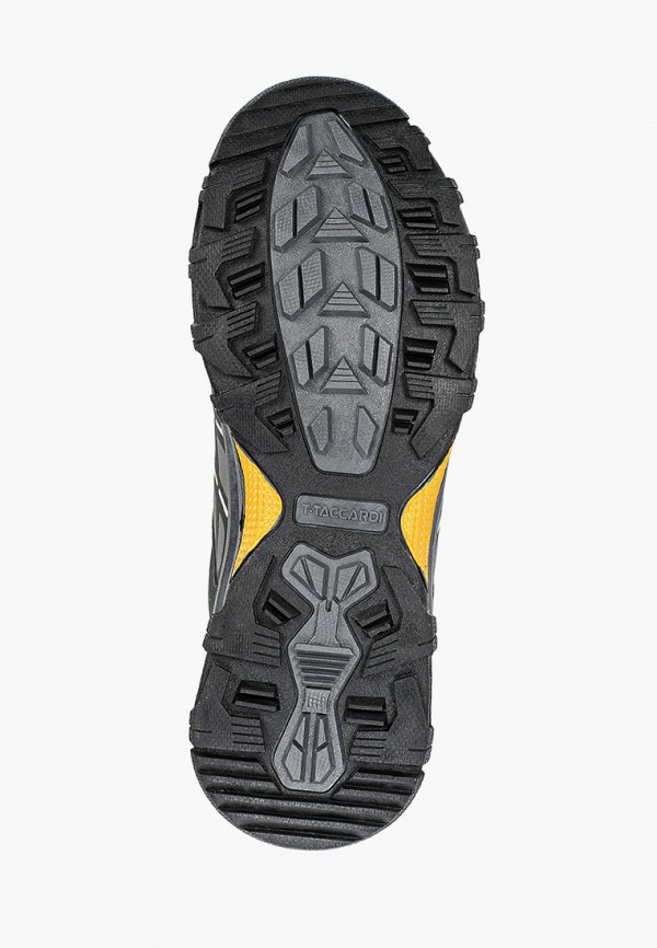 фото Кроссовки t.taccardi