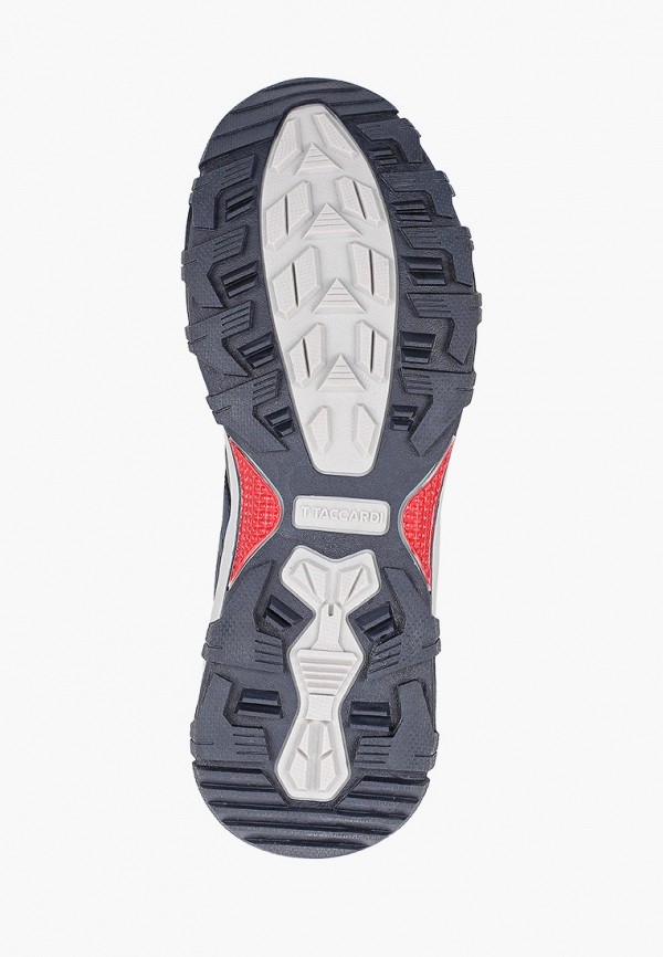 фото Кроссовки t.taccardi