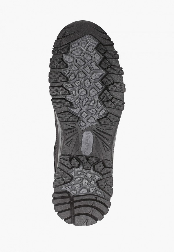 фото Кроссовки t.taccardi