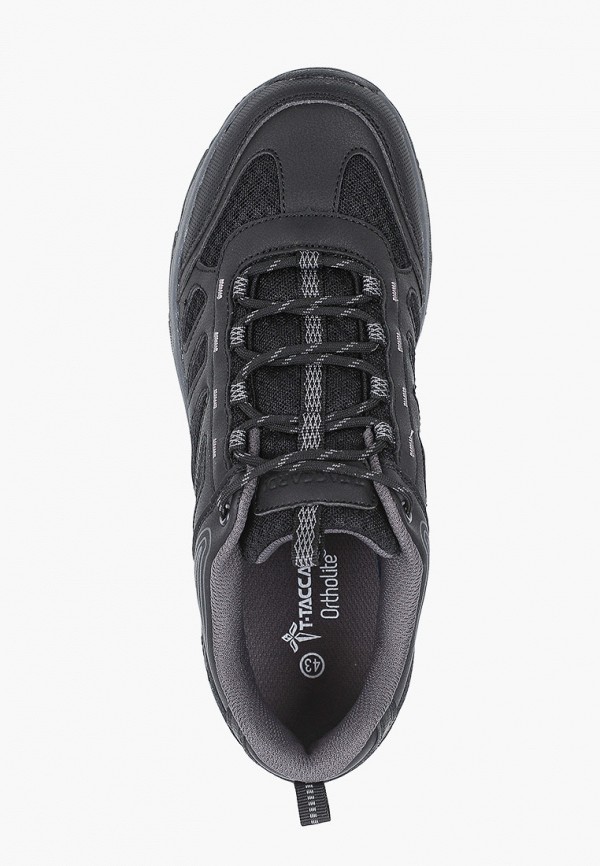 фото Кроссовки t.taccardi