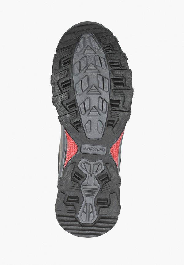 фото Кроссовки t.taccardi