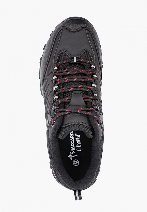 фото Кроссовки t.taccardi