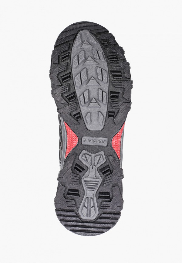 фото Кроссовки t.taccardi