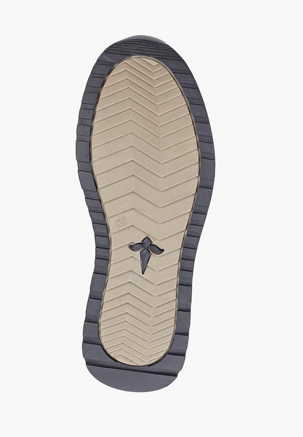 фото Кроссовки alessio nesca