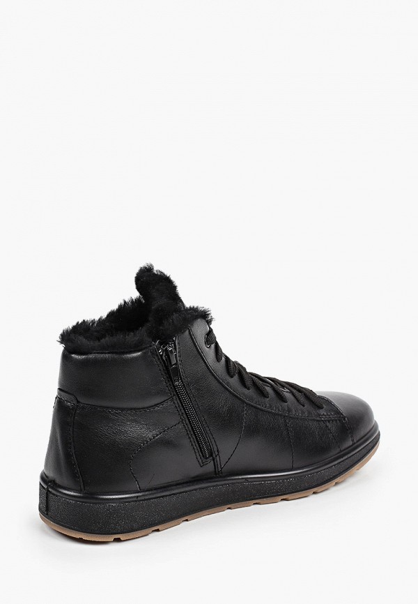 фото Кеды ralf ringer