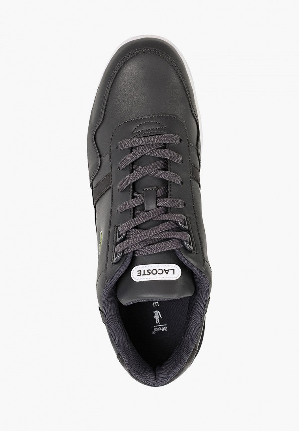 фото Кеды lacoste