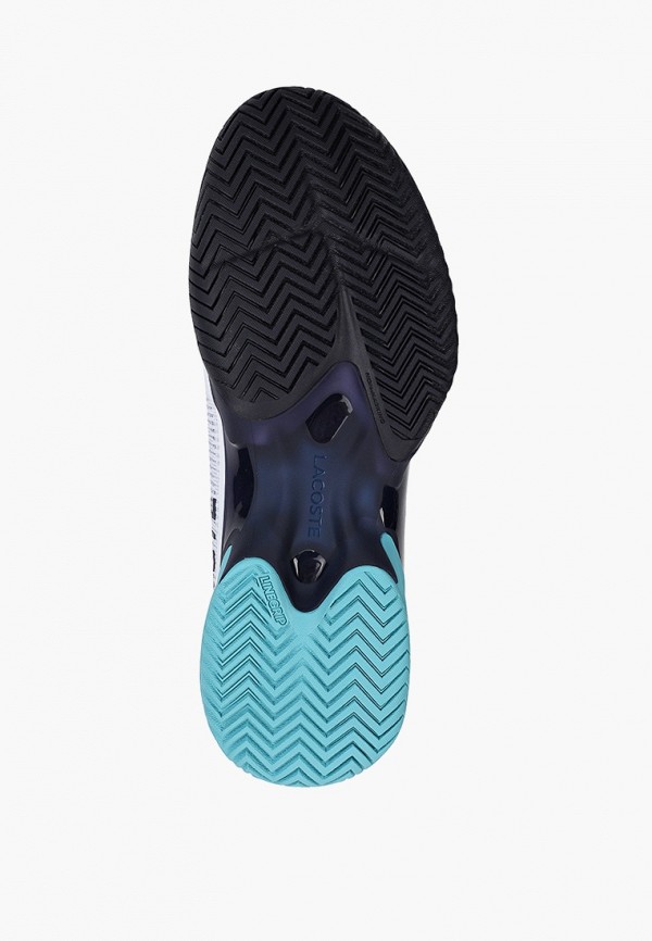 фото Кроссовки lacoste