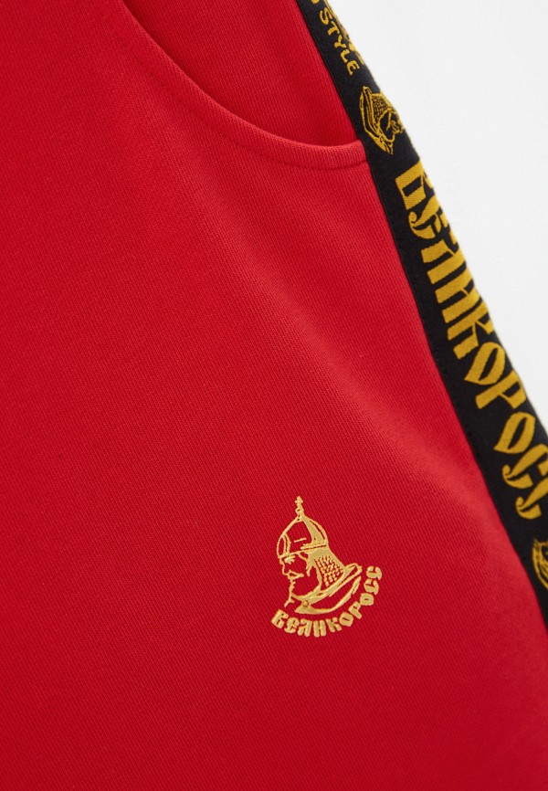 фото Брюки спортивные великоросс