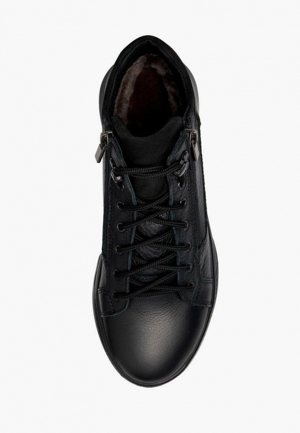 фото Кеды alessio nesca