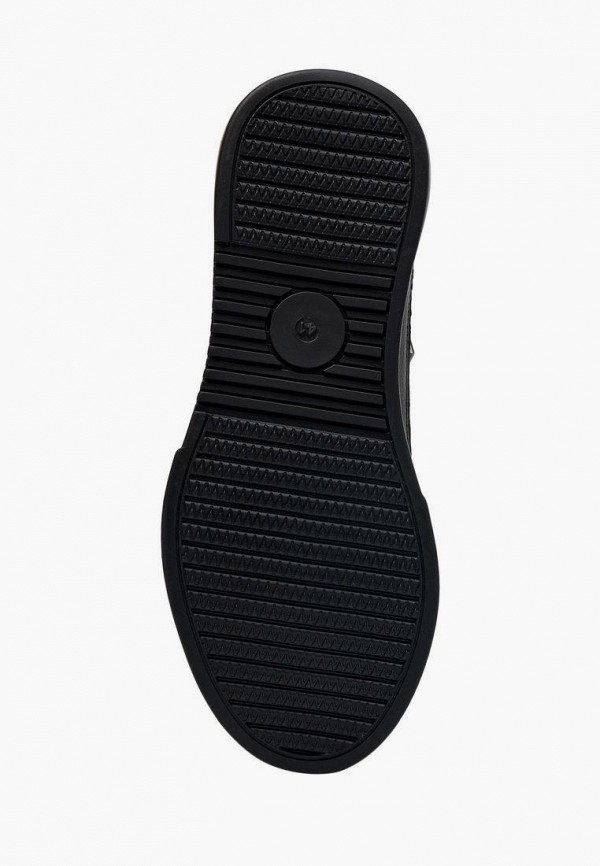 фото Кеды alessio nesca