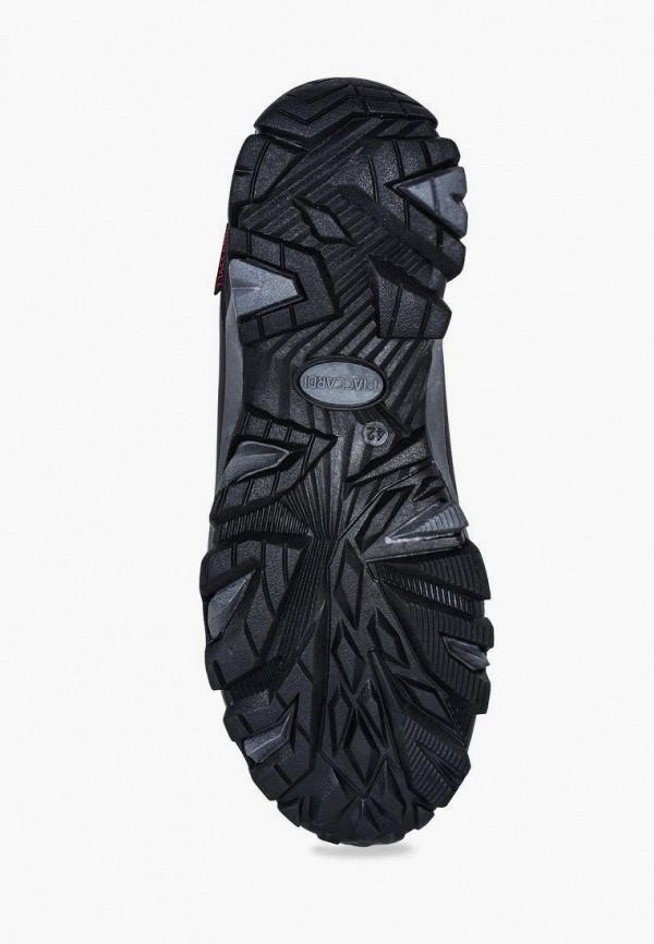 фото Кроссовки t.taccardi