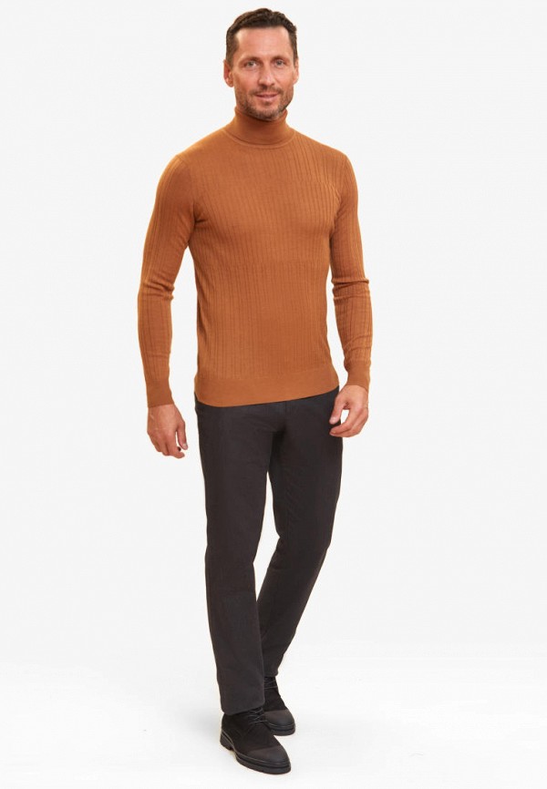 фото Водолазка kanzler