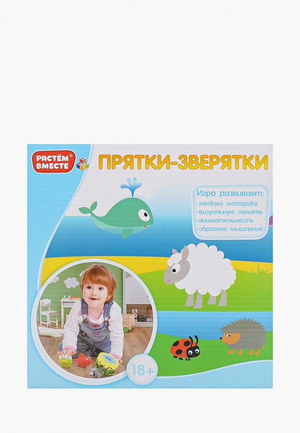 фото Набор игровой 1toy
