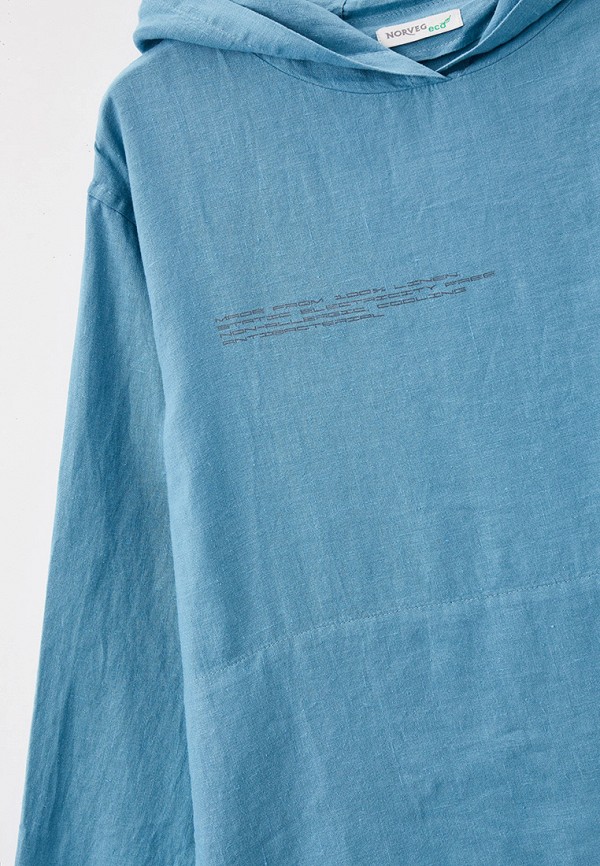 фото Худи norveg