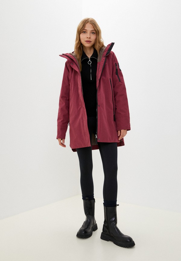 фото Парка red fox