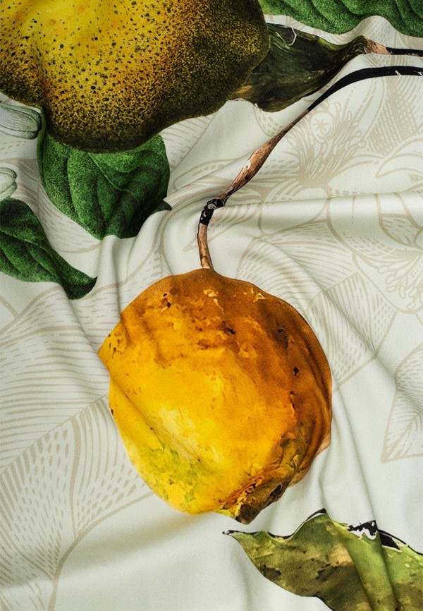 фото Скатерть bellehome