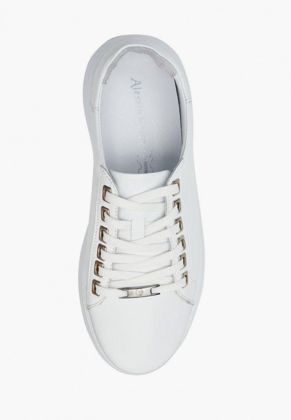 фото Кеды alessio nesca