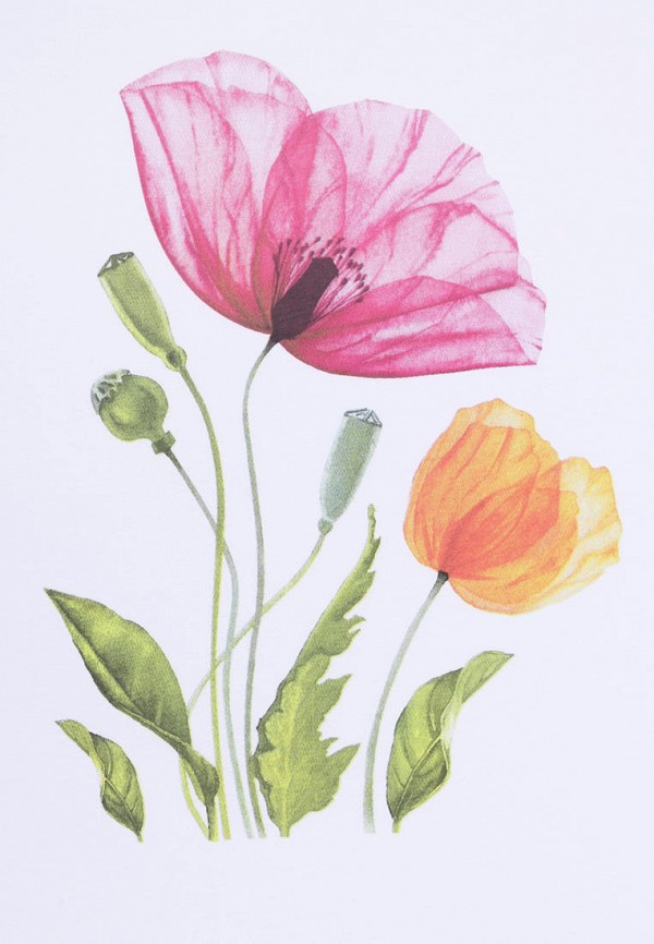 фото Лонгслив апрель