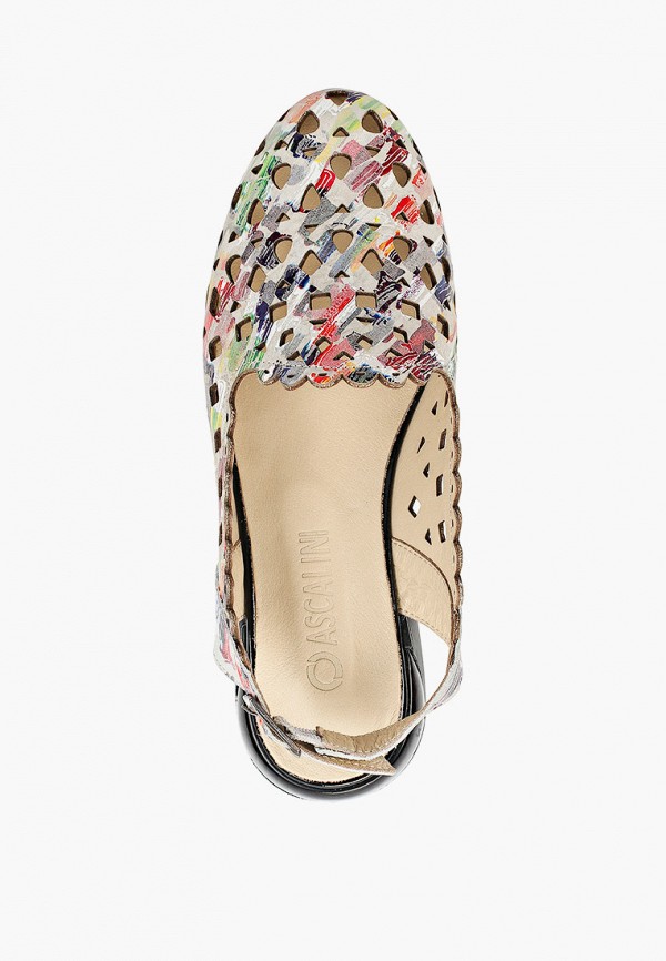 фото Туфли ascalini