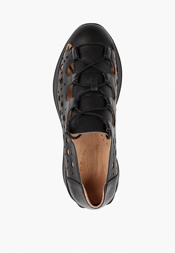 фото Кроссовки ascalini