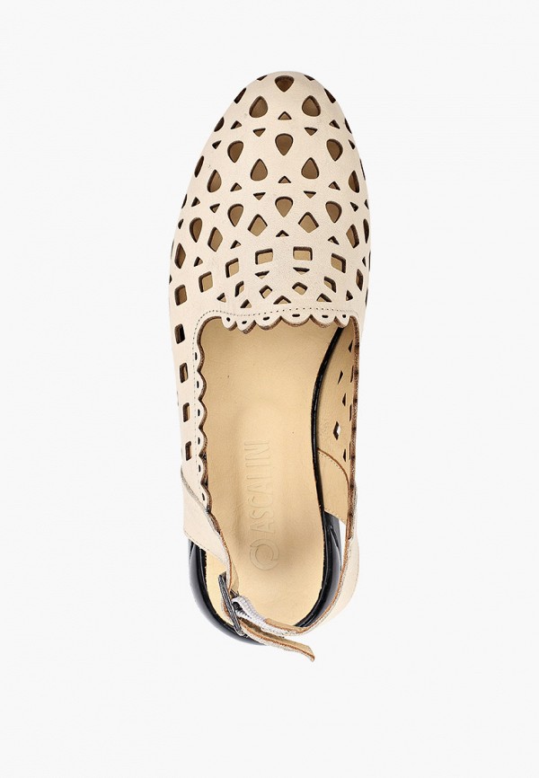 фото Туфли ascalini