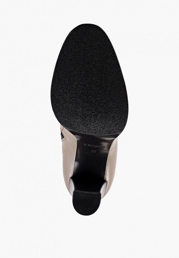 фото Сапоги calipso