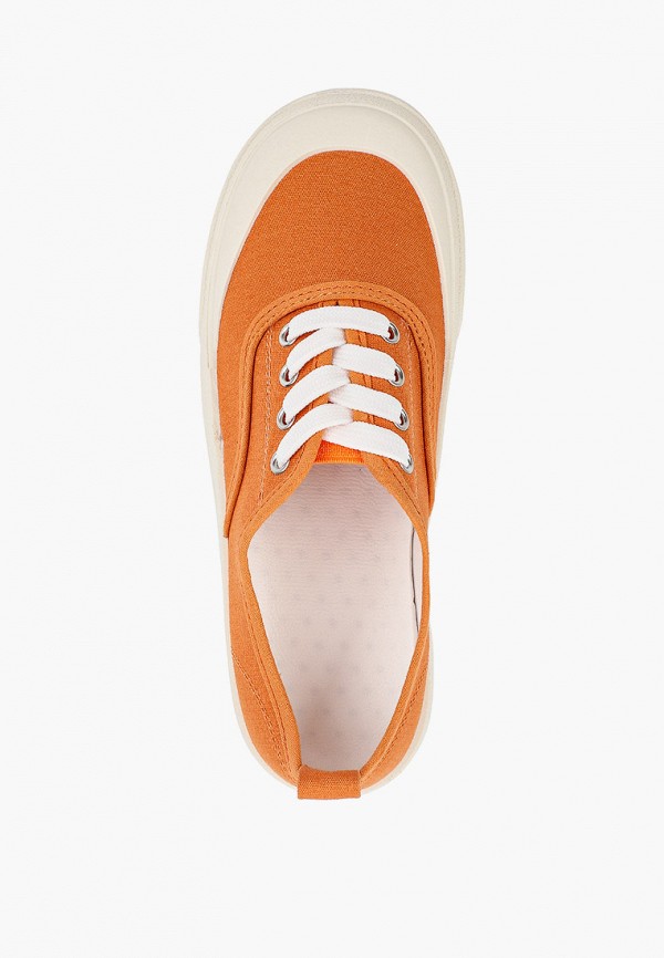 фото Кеды dino albat