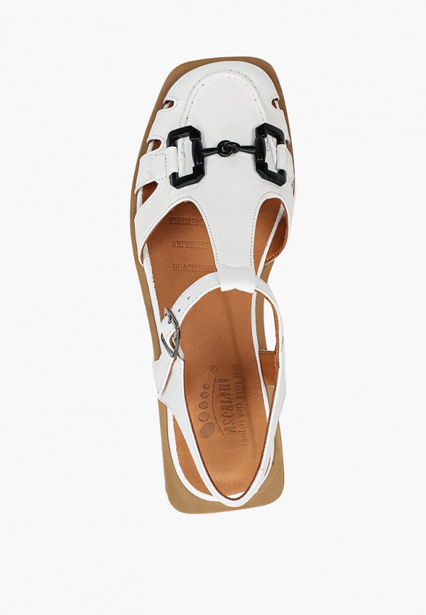 фото Туфли ascalini